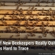 Fostoria News Beekeeping hive frames with bees and honeycomb for pollination.